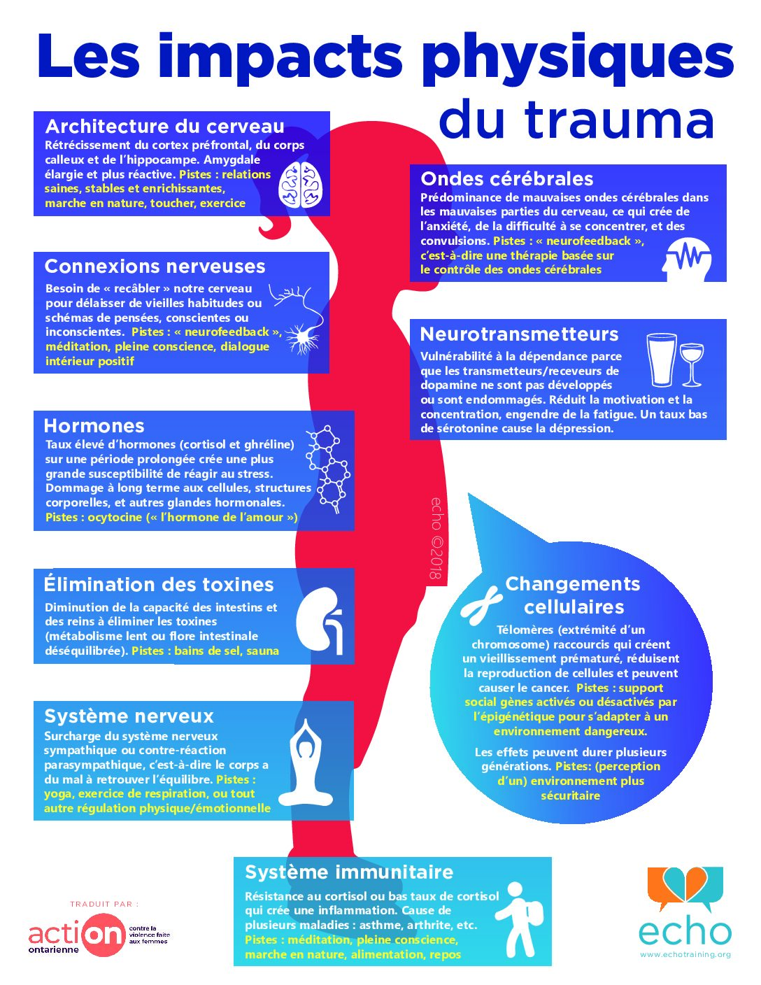 Infographics - Echo